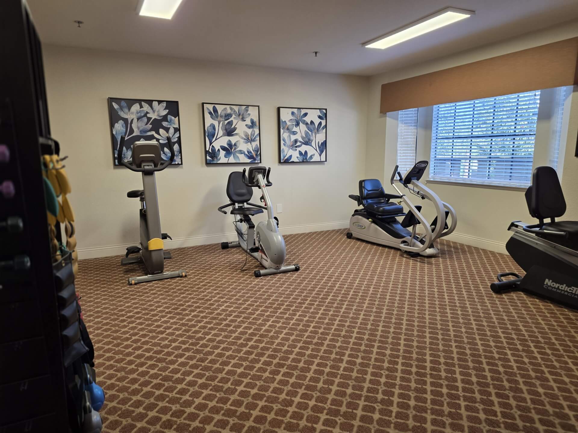 Small gym room with exercise bikes.