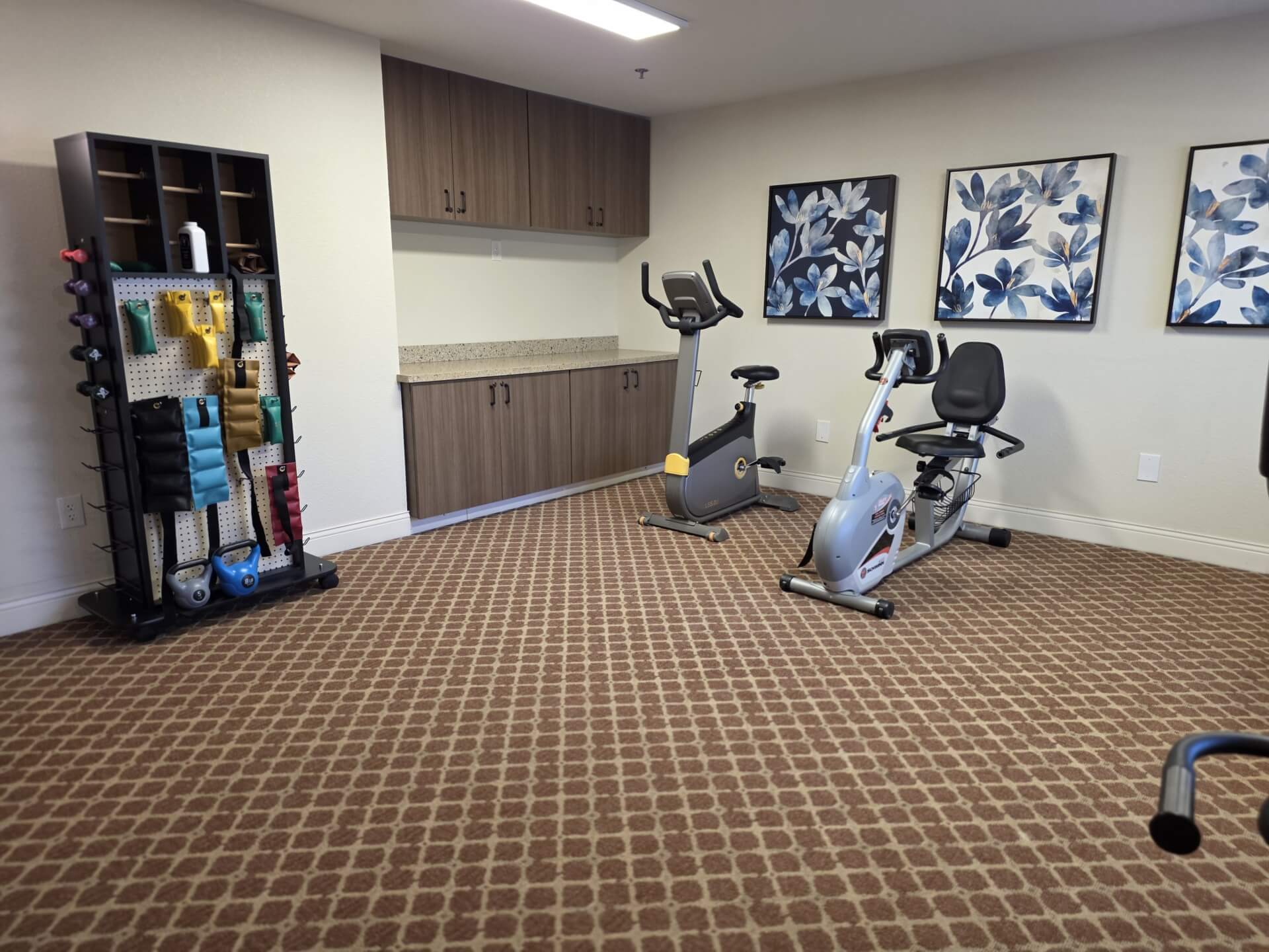 Home gym with exercise bikes and equipment.